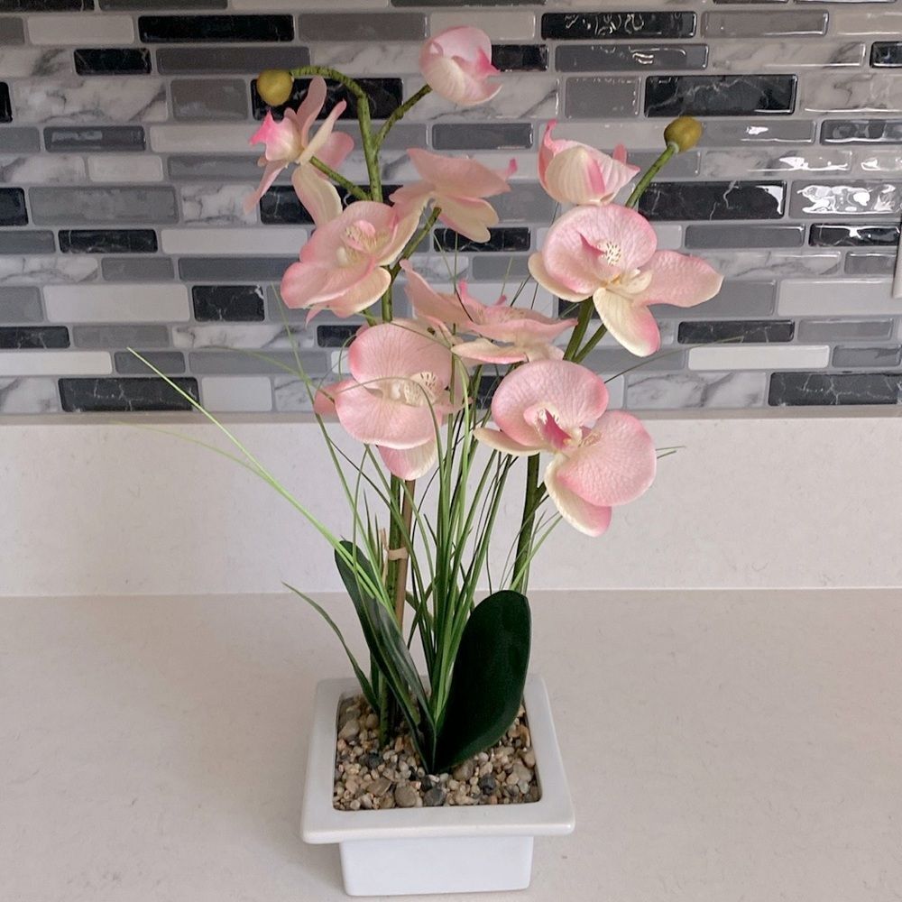 Orchid Plant Luxury decorative flowers with Pot Home Decor Light Pink